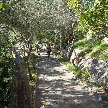 La Casa Di Cri * Simius